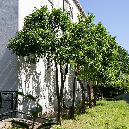 Apartment Blue & Green Dubrovnik Exterior photo